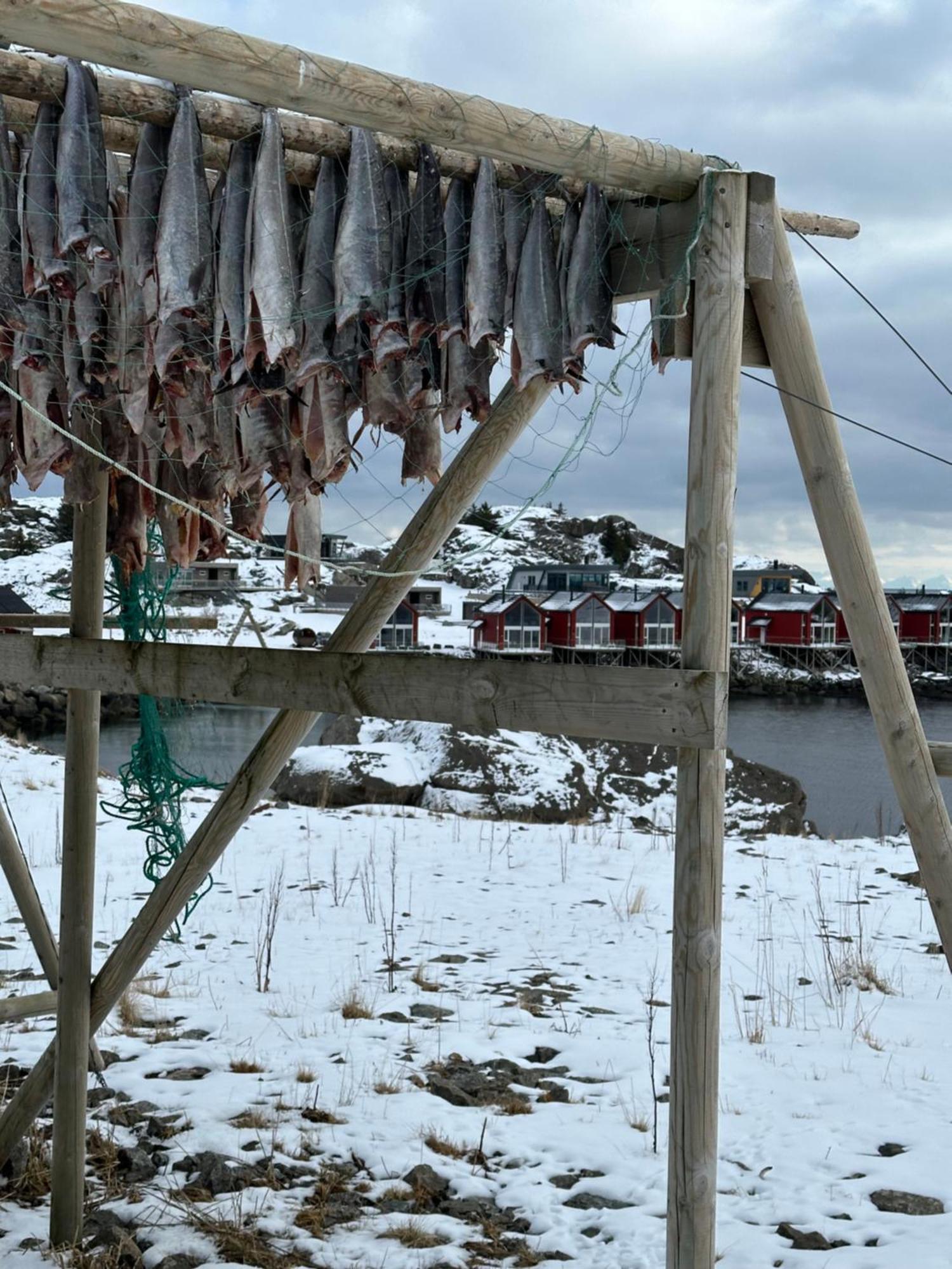 Superior Cabin Ballstad Lofoten エクステリア 写真