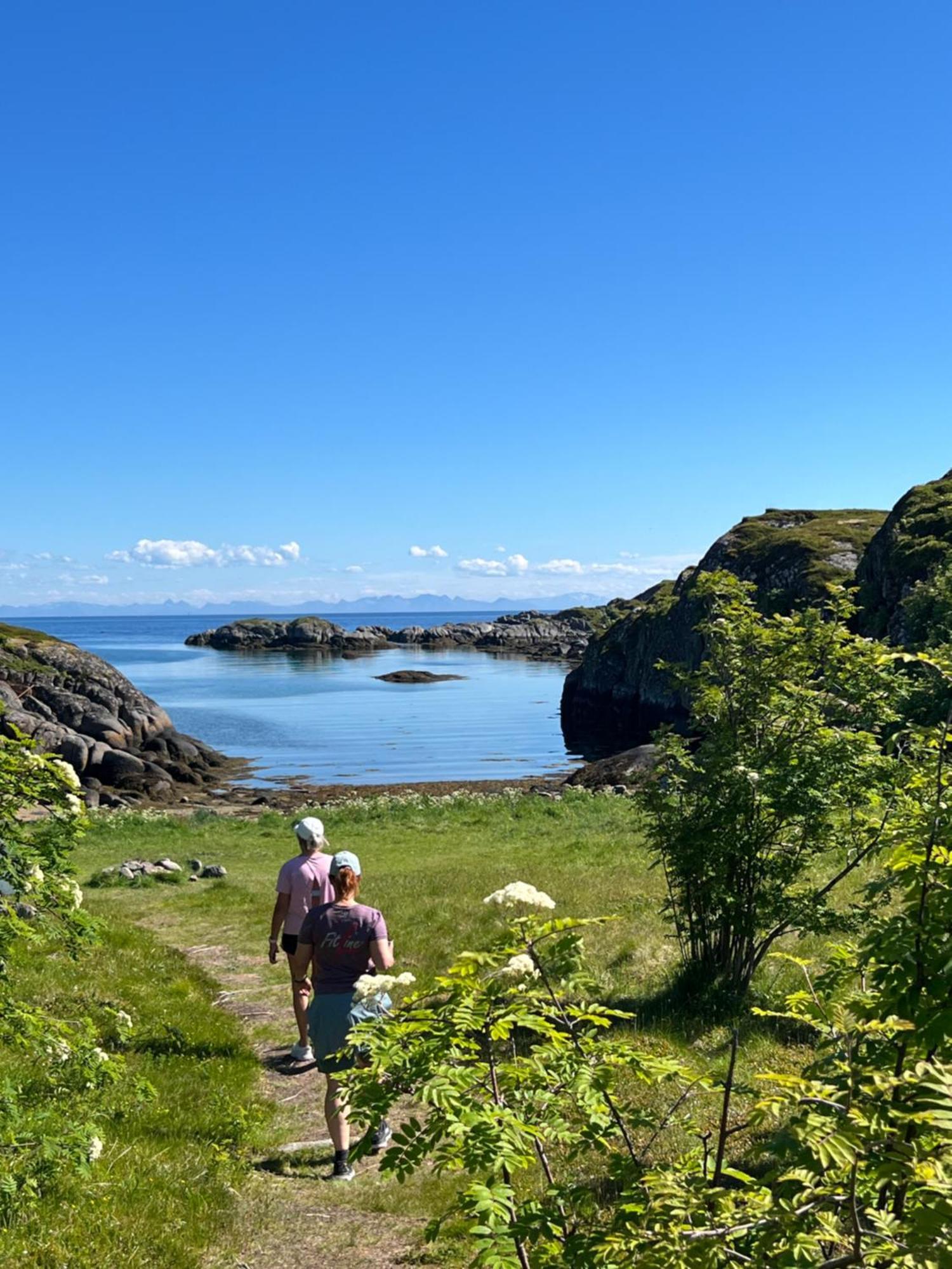 Superior Cabin Ballstad Lofoten エクステリア 写真